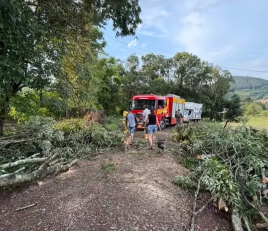 Temporais atingem 17 municípios em Santa Catarina; seis decretam situação de emergência Árvores derrubadas por temporal bloqueiam estrada em Quilombo, no Oeste de Santa Catarina, onde vendavais e granizo causaram danos.