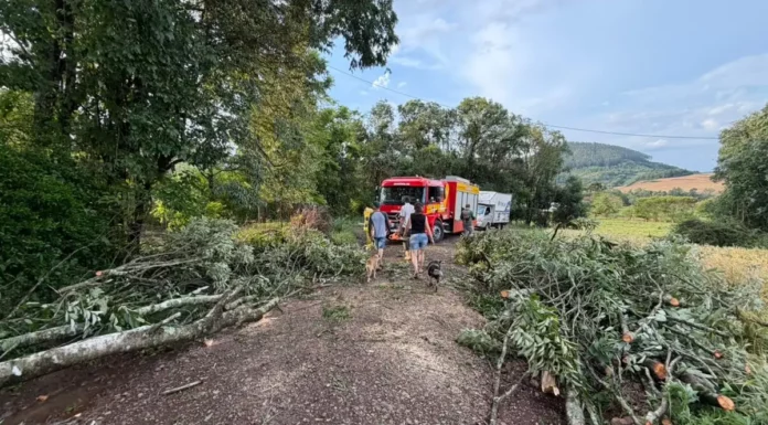 Temporais atingem 17 municípios em Santa Catarina; seis decretam situação de emergência Árvores derrubadas por temporal bloqueiam estrada em Quilombo, no Oeste de Santa Catarina, onde vendavais e granizo causaram danos.