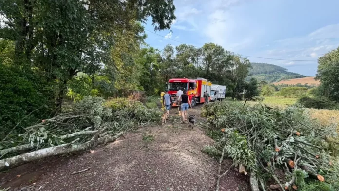 arvores-quilombo-1200x675 Árvores derrubadas por temporal bloqueiam estrada em Quilombo, no Oeste de Santa Catarina, onde vendavais e granizo causaram danos.