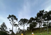 Bombeiros percorrem área rural da Serra Catarinense durante as buscas pelo helicóptero com o cantor Rick.