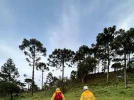 CBMSC reforça efetivo nas buscas por helicóptero com cantor Rick Bombeiros percorrem área rural da Serra Catarinense durante as buscas pelo helicóptero com o cantor Rick.