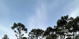 Bombeiros percorrem área rural da Serra Catarinense durante as buscas pelo helicóptero com o cantor Rick.