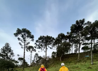 Bombeiros percorrem área rural da Serra Catarinense durante as buscas pelo helicóptero com o cantor Rick.