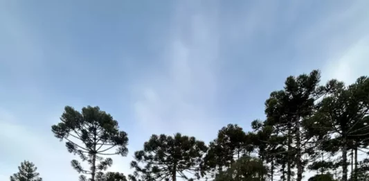 CBMSC reforça efetivo nas buscas por helicóptero com cantor Rick Bombeiros percorrem área rural da Serra Catarinense durante as buscas pelo helicóptero com o cantor Rick.