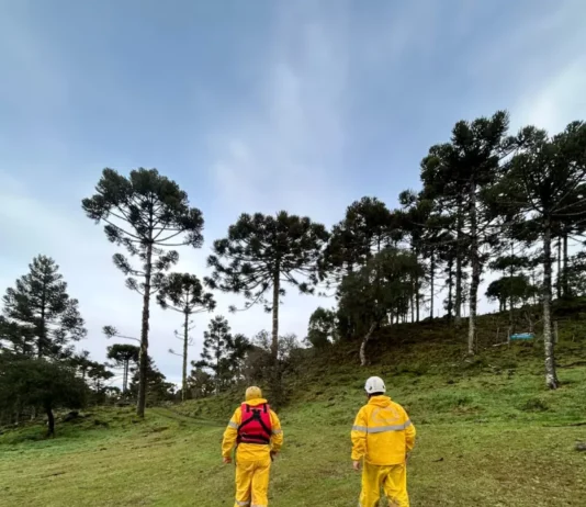 Bombeiros percorrem área rural da Serra Catarinense durante as buscas pelo helicóptero com o cantor Rick.