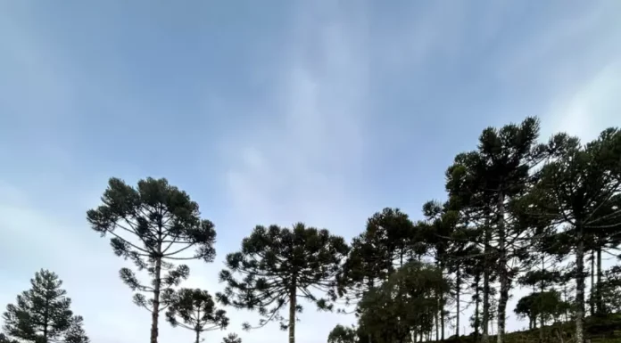 CBMSC reforça efetivo nas buscas por helicóptero com cantor Rick Bombeiros percorrem área rural da Serra Catarinense durante as buscas pelo helicóptero com o cantor Rick.