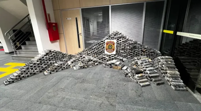 Pacotes de cocaína apreendidos pela Polícia Federal em operação que encontrou mais de 1,2 tonelada da droga em ações em Itajaí.