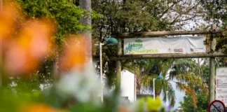 Entrada do Jardim Botânico de Florianópolis, que completa 10 anos com programação especial e inauguração da primeira etapa do Jardim Japonês.