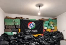 Mais de 4 toneladas de maconha são apreendidas em Palhoça Imagem mostra parte das mais de 4 toneladas de maconha apreendidas em Palhoça durante operação da Polícia Militar.