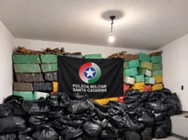 Mais de 4 toneladas de maconha são apreendidas em Palhoça Imagem mostra parte das mais de 4 toneladas de maconha apreendidas em Palhoça durante operação da Polícia Militar.