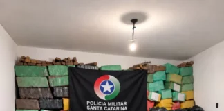 Imagem mostra parte das mais de 4 toneladas de maconha apreendidas em Palhoça durante operação da Polícia Militar.