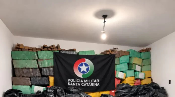 Imagem mostra parte das mais de 4 toneladas de maconha apreendidas em Palhoça durante operação da Polícia Militar.