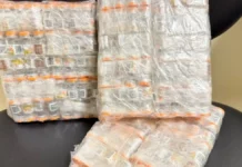 Homem é preso na BR-101, em Paulo Lopes, com 240 ampolas de medicamento para emagrecimento Pacotes com ampolas de medicamento para emagrecimento apreendidas durante fiscalização na BR-101, em Paulo Lopes.