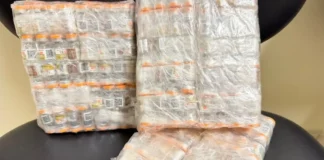 Pacotes com ampolas de medicamento para emagrecimento apreendidas durante fiscalização na BR-101, em Paulo Lopes.