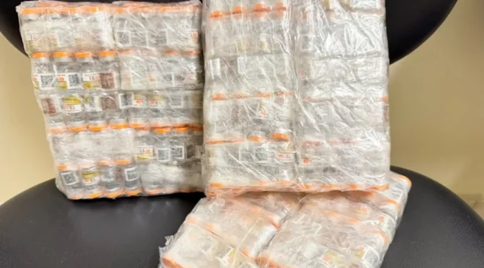 Pacotes com ampolas de medicamento para emagrecimento apreendidas durante fiscalização na BR-101, em Paulo Lopes.