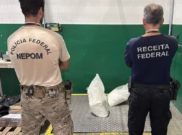 PF apreende 40,5 kg de cocaína escondidos em carga no Porto de Itapoá Agentes da Polícia Federal e da Receita Federal durante apreensão de 40,5 kg de cocaína no Porto de Itapoá, em Santa Catarina.