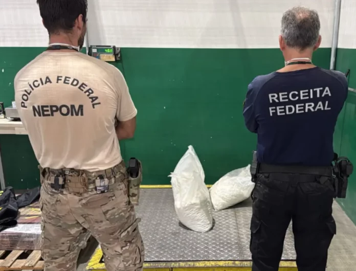 Pf-apreende-cocaina-porto-itapoa Agentes da Polícia Federal e da Receita Federal durante apreensão de 40,5 kg de cocaína no Porto de Itapoá, em Santa Catarina.