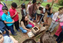 Do zumbido aos quadrinhos: abelhas nativas viram tema de aprendizagem em Florianópolis Estudantes de escola municipal de Florianópolis observam uma caixa de abelhas nativas sem ferrão durante atividade de educação ambiental no meliponário.