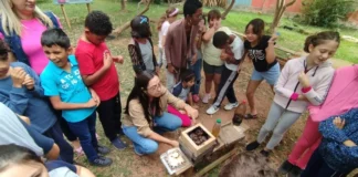 Estudantes de escola municipal de Florianópolis observam uma caixa de abelhas nativas sem ferrão durante atividade de educação ambiental no meliponário.