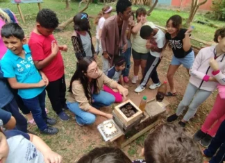 Estudantes de escola municipal de Florianópolis observam uma caixa de abelhas nativas sem ferrão durante atividade de educação ambiental no meliponário.