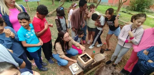 Estudantes de escola municipal de Florianópolis observam uma caixa de abelhas nativas sem ferrão durante atividade de educação ambiental no meliponário.