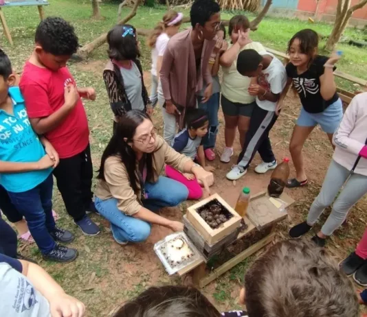Estudantes de escola municipal de Florianópolis observam uma caixa de abelhas nativas sem ferrão durante atividade de educação ambiental no meliponário.