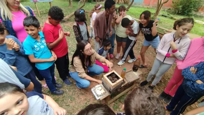 abelhas-nativas Estudantes de escola municipal de Florianópolis observam uma caixa de abelhas nativas sem ferrão durante atividade de educação ambiental no meliponário.