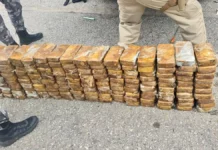 A imagem mostra os tabletes de pasta base de cocaína apreendidos durante uma operação policial na BR-101, em Biguaçu.