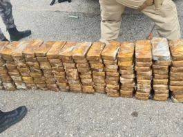 A imagem mostra os tabletes de pasta base de cocaína apreendidos durante uma operação policial na BR-101, em Biguaçu.