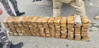 A imagem mostra os tabletes de pasta base de cocaína apreendidos durante uma operação policial na BR-101, em Biguaçu.