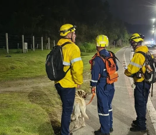 Bombeiros buscam homem desaparecido na Vargem Pequena, em Florianópolis Bombeiros militares com cão de busca durante operação para localizar homem de 51 anos desaparecido na região da Vargem Pequena, em Florianópolis.