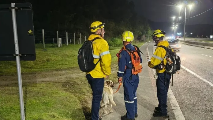 Bombeiros militares com cão de busca durante operação para localizar homem de 51 anos desaparecido na região da Vargem Pequena, em Florianópolis.