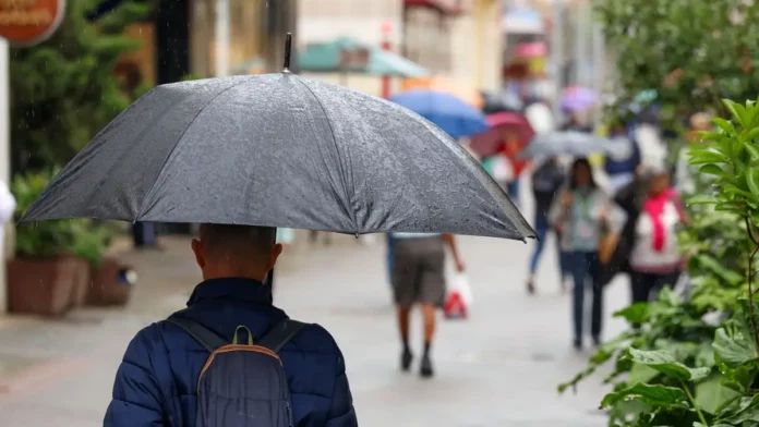 Pessoa caminha com guarda-chuva durante chuva em área urbana, ilustrando a previsão de chuva frequente em Santa Catarina nos próximos três meses.