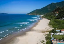 Mais três praias de Florianópolis conquistam certificação Bandeira Azul Vista aérea da Praia dos Açores, em Florianópolis, com faixa de areia, mar azul e morros cobertos por vegetação, uma das praias que conquistaram a certificação Bandeira Azul para a temporada 2026/2027.
