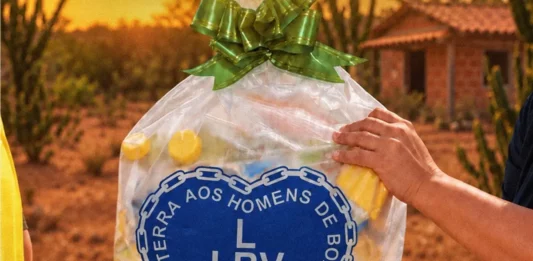 LBV mobiliza doações para distribuir mais de 40 mil cestas de alimentos neste Natal Cesta de alimentos da LBV utilizada na campanha de Natal que pretende arrecadar doações para distribuir mais de 40 mil cestas a famílias em situação de vulnerabilidade social no Brasil.