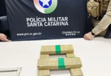 Homem foge de abordagem, abandona mochila com maconha e acaba preso em Florianópolis Tabletes de maconha apreendidos pela Polícia Militar após fuga de motociclista durante abordagem em Florianópolis.