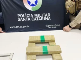 Homem foge de abordagem, abandona mochila com maconha e acaba preso em Florianópolis Tabletes de maconha apreendidos pela Polícia Militar após fuga de motociclista durante abordagem em Florianópolis.