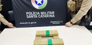 Tabletes de maconha apreendidos pela Polícia Militar após fuga de motociclista durante abordagem em Florianópolis.