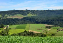 Paisagem rural com plantações, propriedades e morros cobertos por vegetação, usada para ilustrar o apoio do SC Rural 2 a agricultores e comunidades rurais de Santa Catarina.