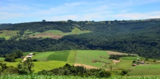 Paisagem rural com plantações, propriedades e morros cobertos por vegetação, usada para ilustrar o apoio do SC Rural 2 a agricultores e comunidades rurais de Santa Catarina.