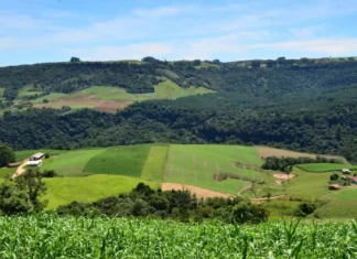 SC Rural 2 abre chamada com R$ 21,9 milhões para agricultores e pescadores Paisagem rural com plantações, propriedades e morros cobertos por vegetação, usada para ilustrar o apoio do SC Rural 2 a agricultores e comunidades rurais de Santa Catarina.