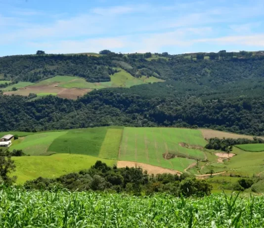 SC Rural 2 abre chamada com R$ 21,9 milhões para agricultores e pescadores Paisagem rural com plantações, propriedades e morros cobertos por vegetação, usada para ilustrar o apoio do SC Rural 2 a agricultores e comunidades rurais de Santa Catarina.