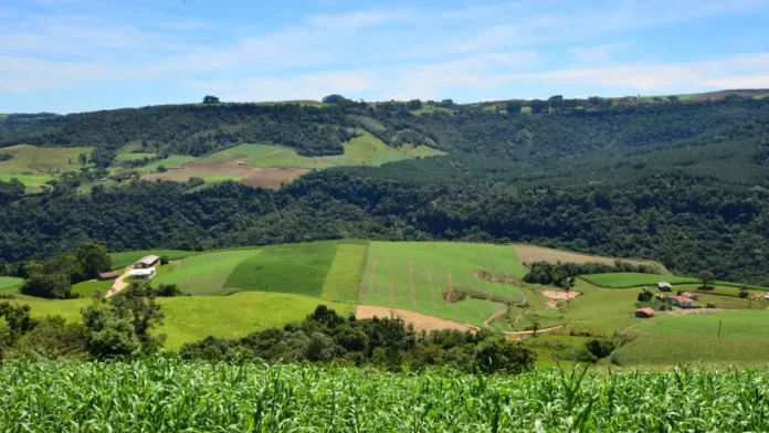 programa-sc-rural-2-1200x675 Paisagem rural com plantações, propriedades e morros cobertos por vegetação, usada para ilustrar o apoio do SC Rural 2 a agricultores e comunidades rurais de Santa Catarina.