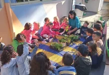 Rematrículas da Educação Infantil da rede municipal de Florianópolis começam nesta terça-feira (20) Crianças participam de atividade educativa com plantas em uma unidade de Educação Infantil de Florianópolis, cuja rede municipal abriu o período de rematrículas para 2027.