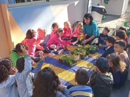 Rematrículas da Educação Infantil da rede municipal de Florianópolis começam nesta terça-feira (20) Crianças participam de atividade educativa com plantas em uma unidade de Educação Infantil de Florianópolis, cuja rede municipal abriu o período de rematrículas para 2027.