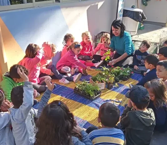 Crianças participam de atividade educativa com plantas em uma unidade de Educação Infantil de Florianópolis, cuja rede municipal abriu o período de rematrículas para 2027.
