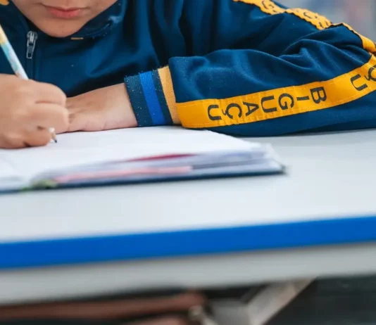 Biguaçu divulga calendário de matrículas para o Ensino Fundamental em 2027 Estudante escreve em caderno durante atividade escolar; imagem ilustra o calendário de rematrículas e matrículas da Rede Municipal de Biguaçu para 2027.