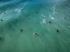 Vista aérea de surfistas no mar, ilustrando as autorizações para aulas de surfe e outras atividades nas praias de Florianópolis durante o verão 2026/2027.